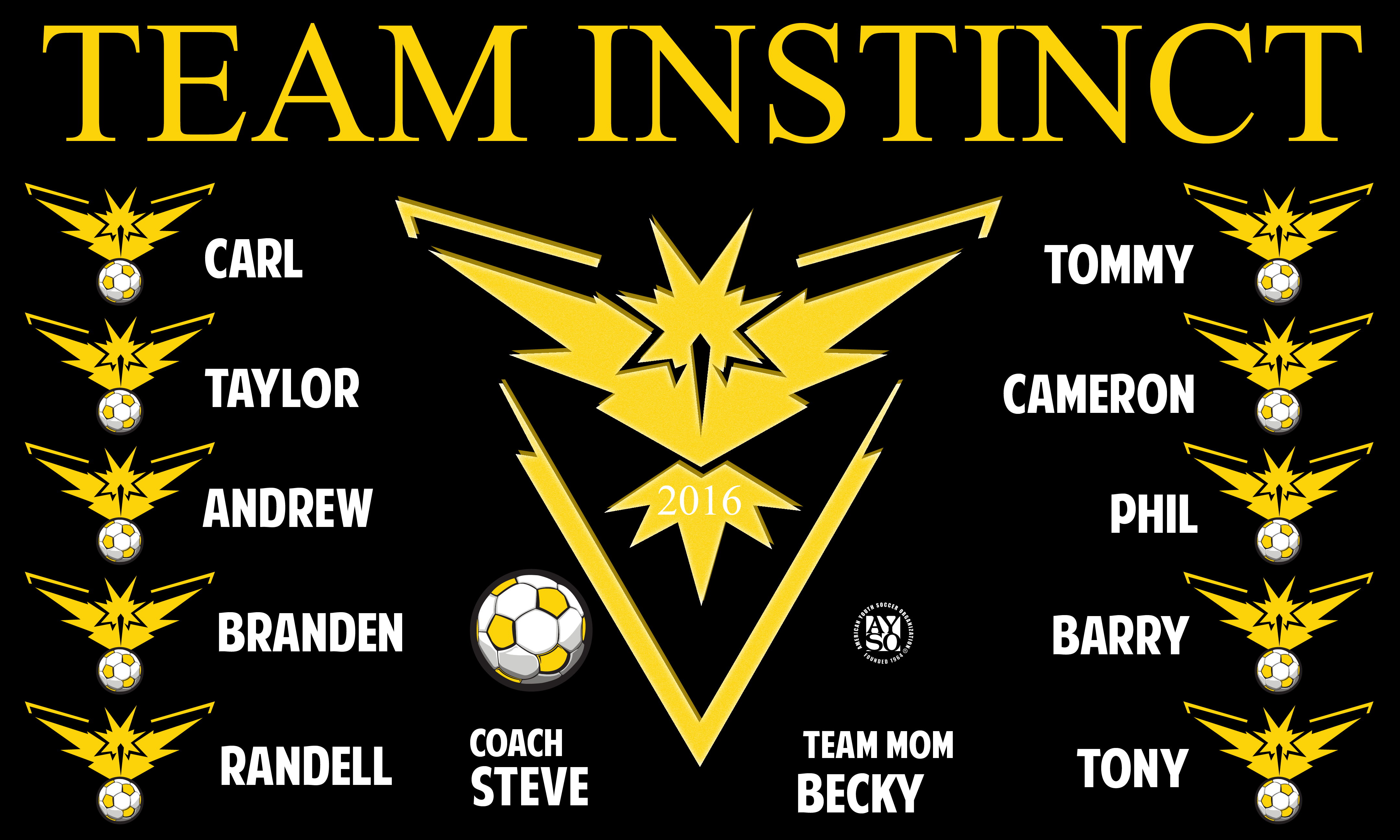 B1624 Team Instinct 3x5 BannerB1624